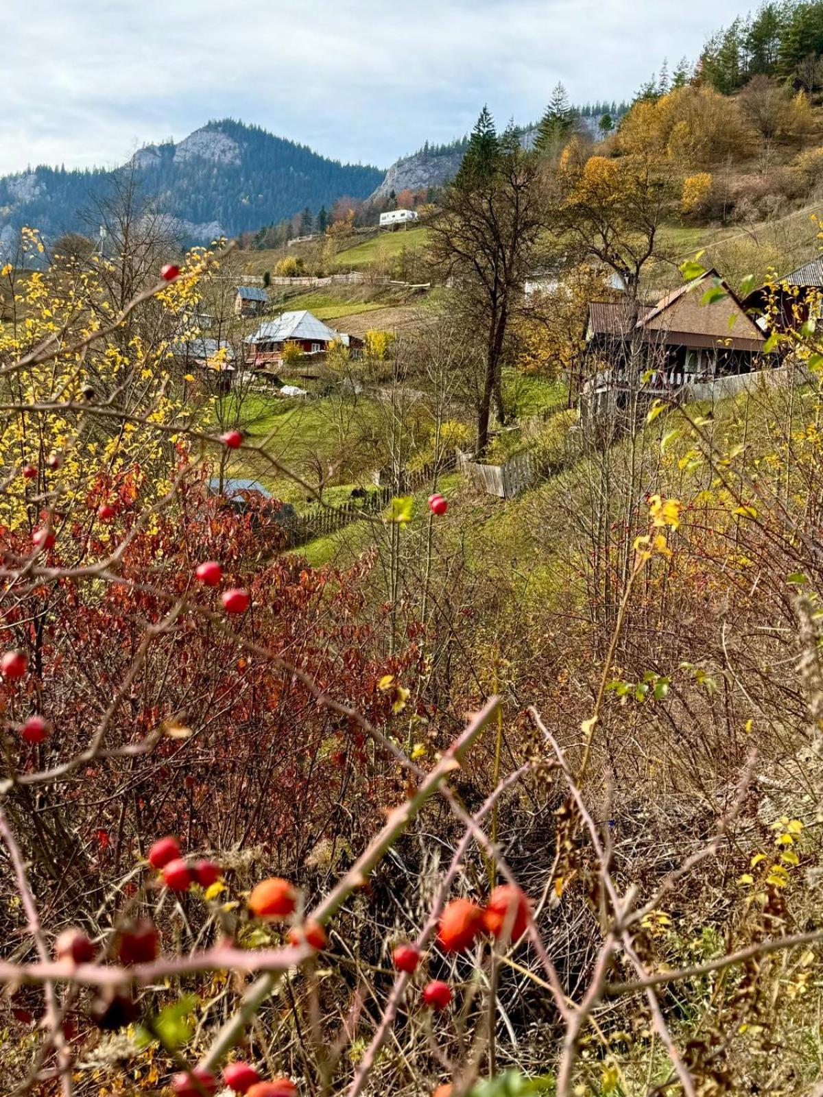 Pensiunea Cheile Sugaului Bicaz-Chei Exterior foto